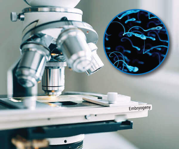 AdvancedSemenAnalysisTrainingCourseGallery 1