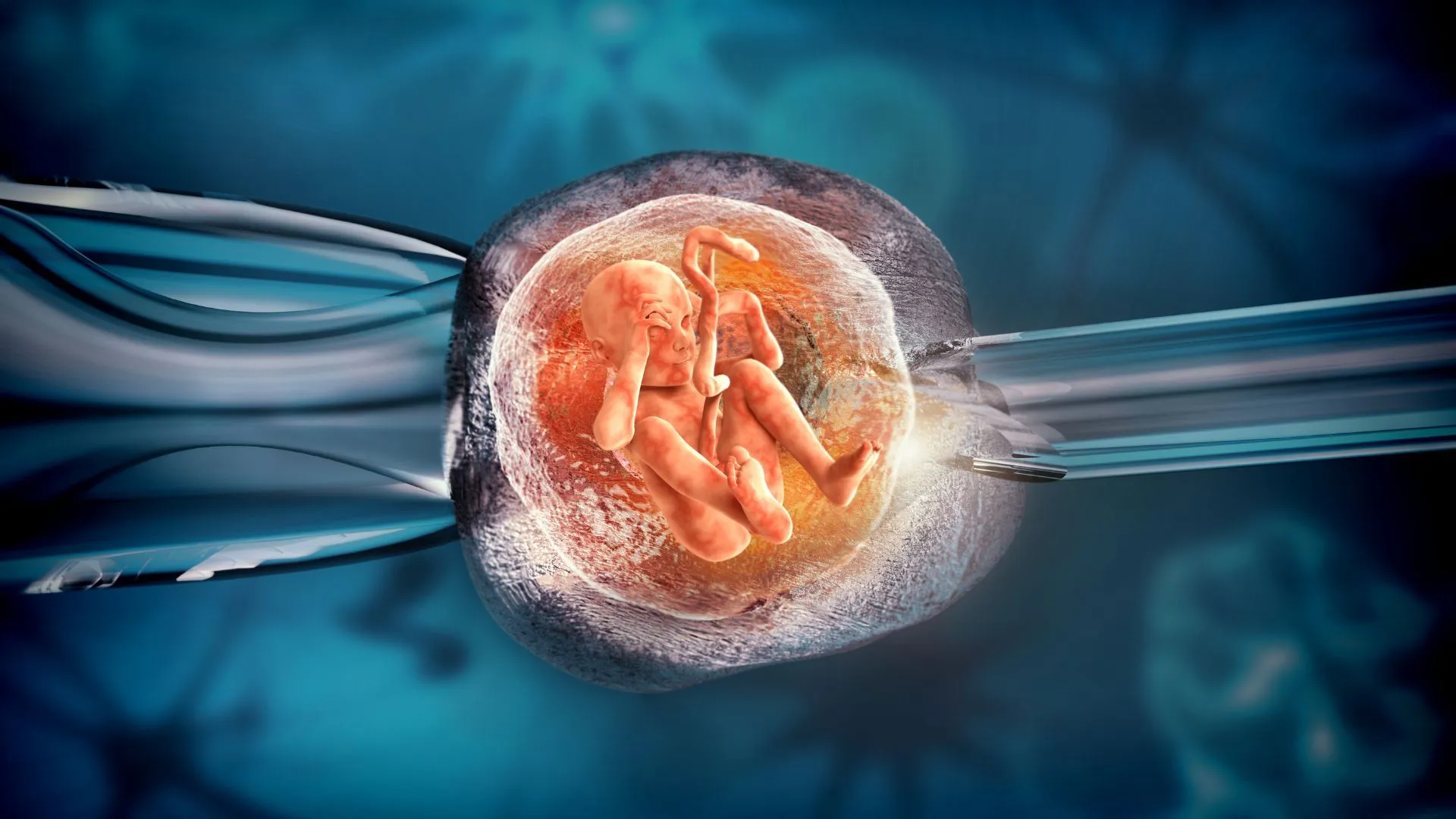 Projekt bez nazwy21 2