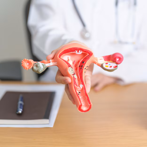 doctor-with-uterus-ovaries-anatomy-model-ovarian-cervical-cancer-cervix-disorder_1332293-2633