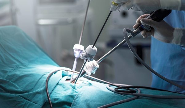 1729573121_d7ccc93eb7611baf05dc